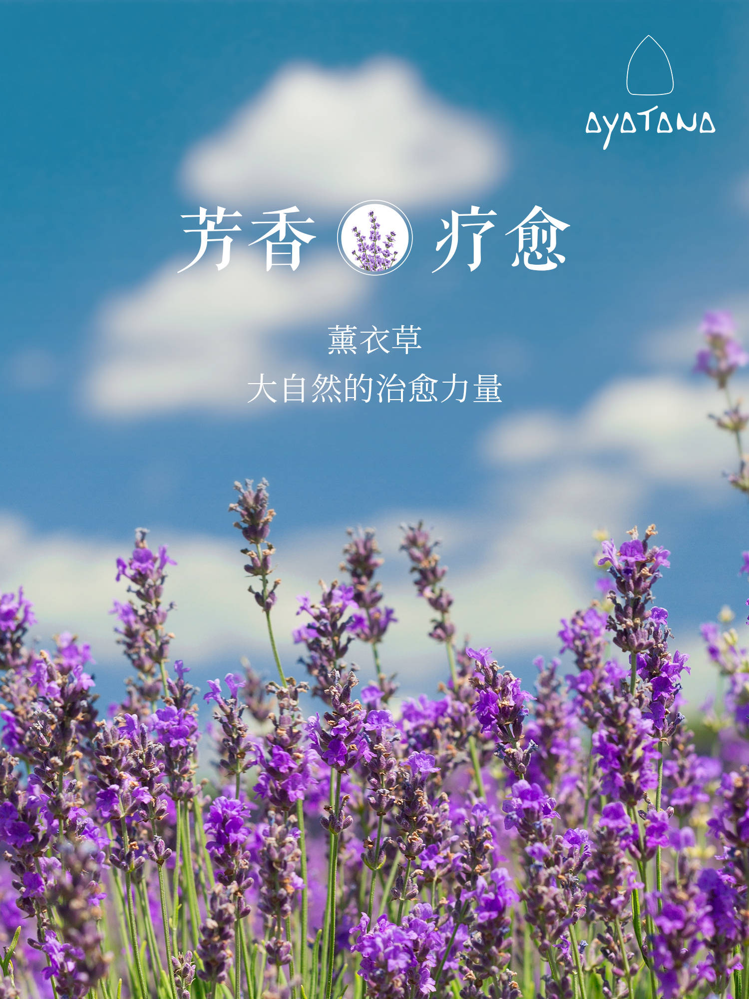 ATANA以植物芳香之力重塑健康生活美学pg电子娱乐平台泰国院线芳香疗愈品牌AY(图2)