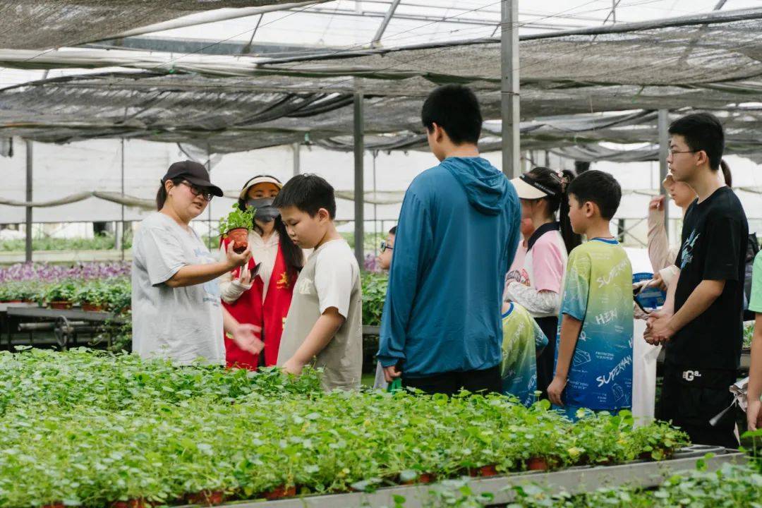 点！这个暑假带娃“玩转”许村pg电子模拟器21个公益研学(图16)