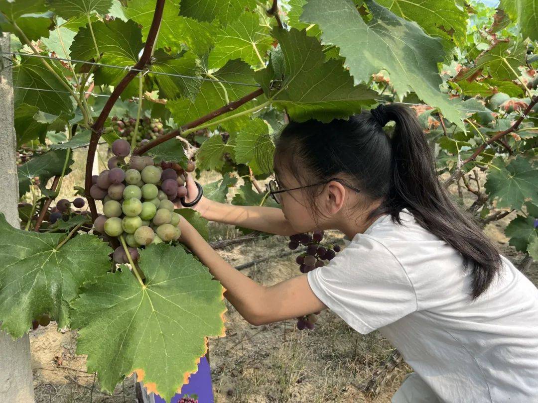 点！这个暑假带娃“玩转”许村pg电子模拟器21个公益研学(图47)