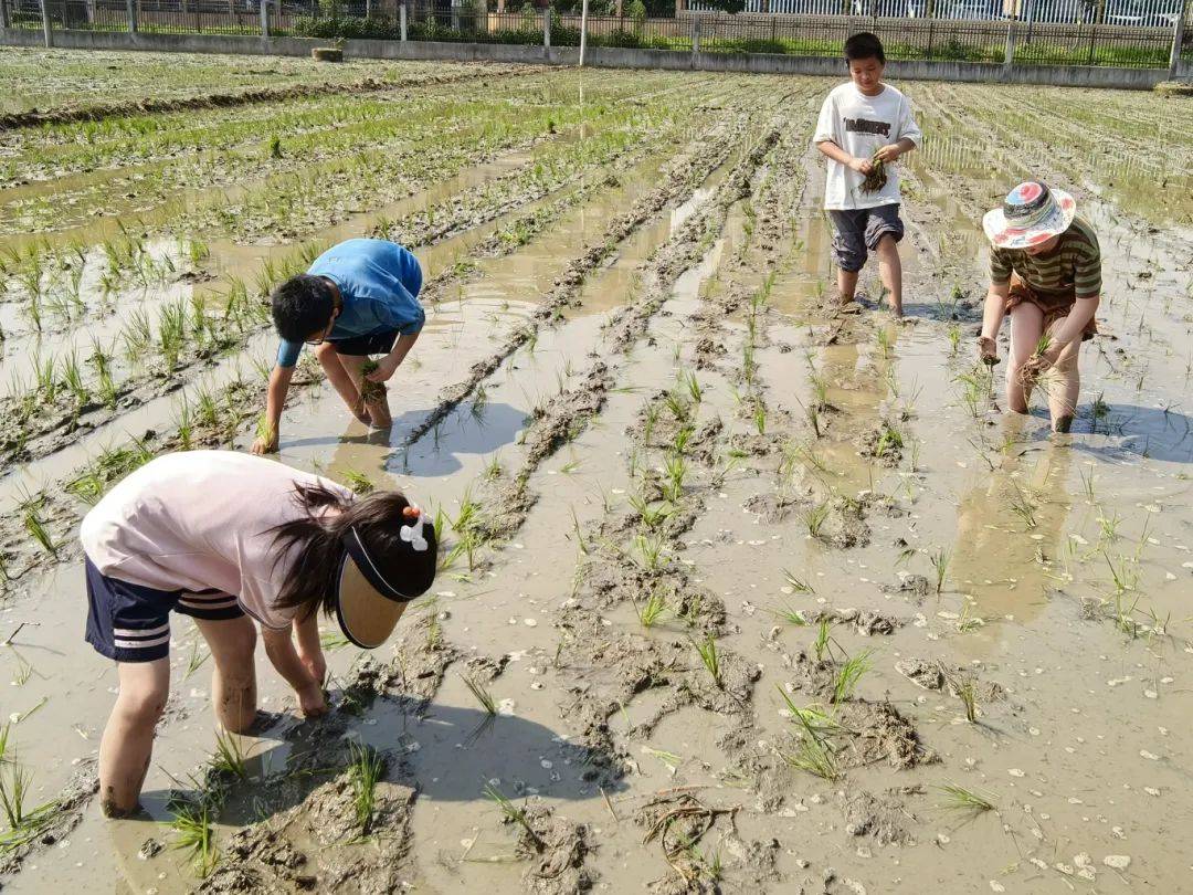 点！这个暑假带娃“玩转”许村pg电子模拟器21个公益研学(图48)